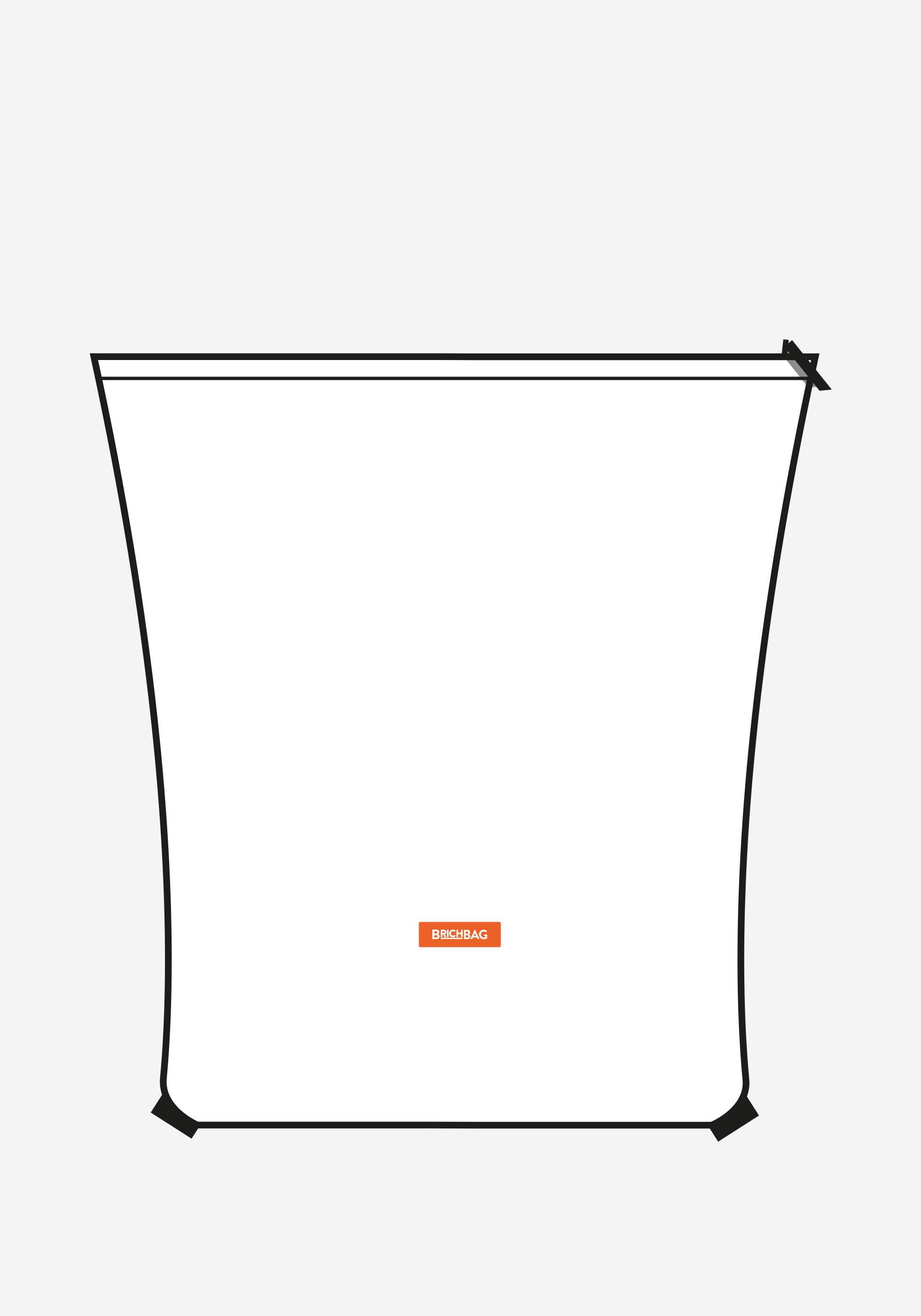 CLEAN CURIER